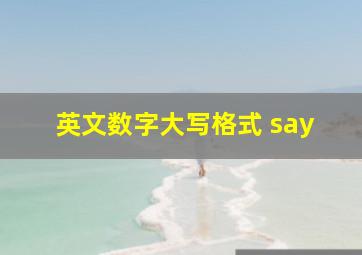 英文数字大写格式 say